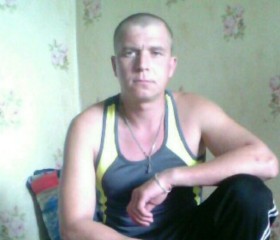 Андрей, 41 год, Гаврилов Посад