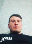 Дима, 28 лет, Toshkent