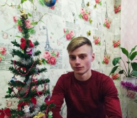 Александр, 24 года, Віцебск