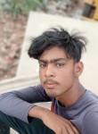 Rajdev, 20 лет, Jaipur