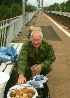 Валерий, 64, Россия, Москва
