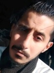 محمود, 24 года, إربد