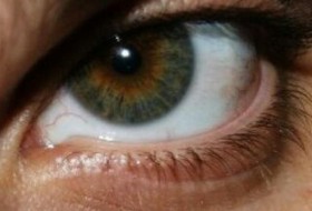 Ruslan, 37 - Miscellaneous