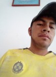 David, 25 лет, Uruapan