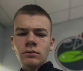 Дмитрий, 19 лет, Северск