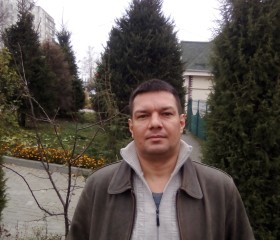 Борис, 40 лет, Рязань
