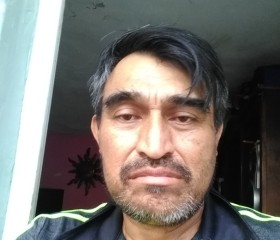 Salvador Flores, 50 лет, Veracruz