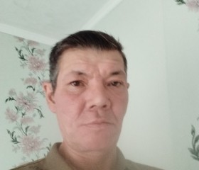 Сергей, 51 год, Ибреси