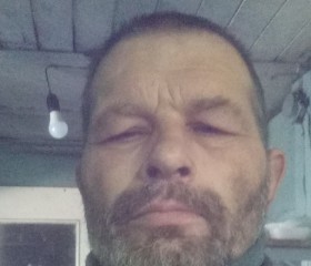Nikolay, 48, Ulyanovsk