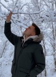 Denis, 35, Vladivostok