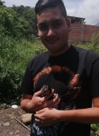 Julián , 21 год, Cúcuta
