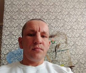 Dima, 41 год, Поворино