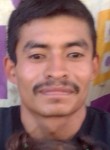 luis, 27 лет, Irapuato