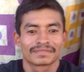 luis, 27 лет, Irapuato