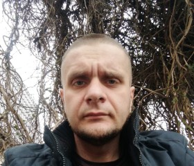 Леонид, 34 года, Ростов-на-Дону