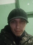 Алекс, 35 лет, Томск