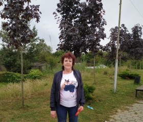 Татьяна, 65 лет, Калининград