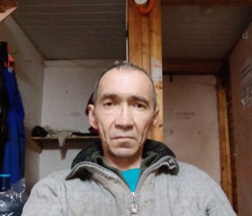 Андрей, 51 год, Сызрань