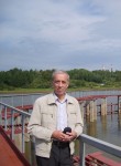 Сергей, 68 лет, Курск