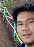Lebs, 37 лет, Lungsod ng Zamboanga