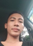Davyan, 29 лет, Kota Surabaya