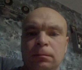 Вован, 41 год, Климовск