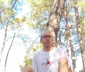 Anton, 40, Saint Petersburg