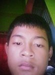Fajri, 19 лет, Kota Palembang