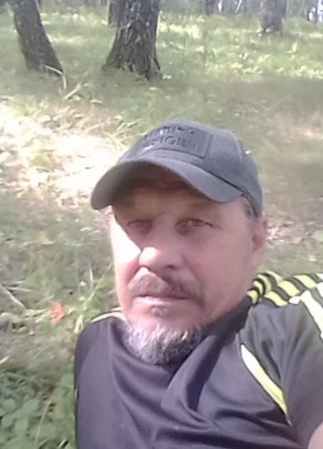 Иван Иванович, 54, Россия, Миасс