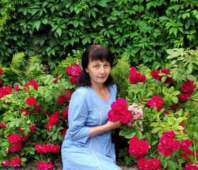 Елена, 48 лет, Шимск