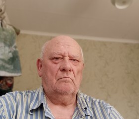 Владимир, 72 года, Москва