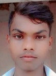 Abhinash chauhan, 22 года, Lucknow