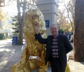 Виктор, 73 года, Краснодар