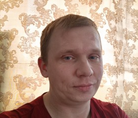 Алексей Шишов, 37 лет, Димитровград