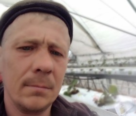Володя Захарчук, 42 года, Луцьк