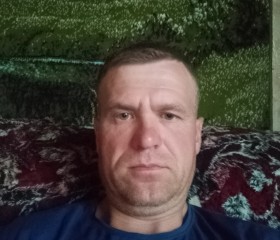 Алексей Вишняков, 41 год, Сямжа