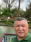 Дамир, 59 лет, Краснодар