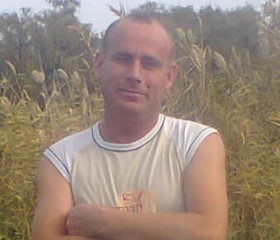 Александр, 42 года, Пологи