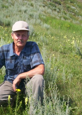 Виктор, 77, Россия, Искитим
