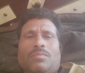 Ramesh Tomer, 33 года, New Delhi