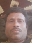 Ramesh Tomer, 33 года, New Delhi