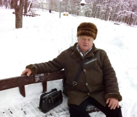 Геннадий, 75 лет, Бабруйск