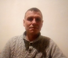 Павел Миронов, 46 лет, Санкт-Петербург