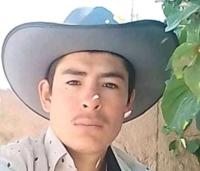 Felipe, 26 лет, Guadalajara