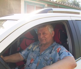 Василий, 74 года, Вінниця