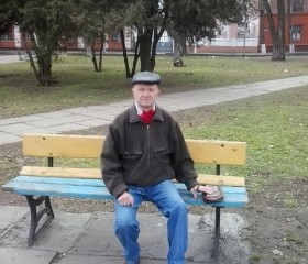 Андрей, 60 лет, Нікополь