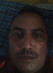 Jat bhai, 34 года, Shimla