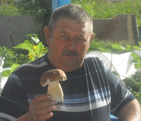 Владимир, 64 года, Исилькуль