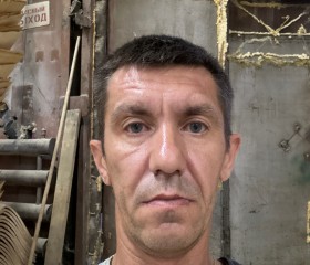 Дмитрий, 48 лет, Чайковский