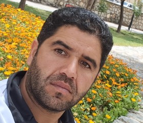 Majid, 31 год, اصفهان
